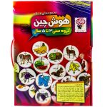 هوش چین ۴ تیکه مناسب ۴ تا ۷ سال