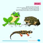 جانوران (هوش و مفاهیم پایه) - Image 3