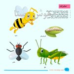 جانوران (هوش و مفاهیم پایه) - Image 5